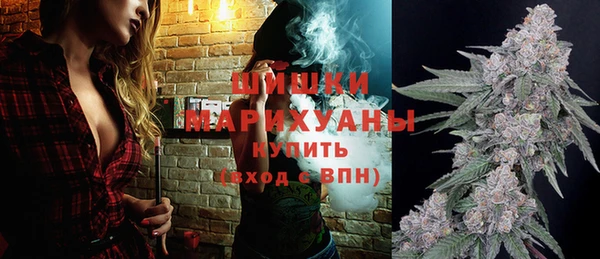 мдпв Семёнов