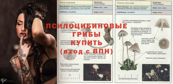 мяу мяу мука Балахна
